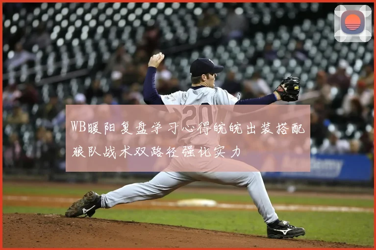 WB暖阳复盘学习心得皖皖出装搭配狼队战术双路径强化实力